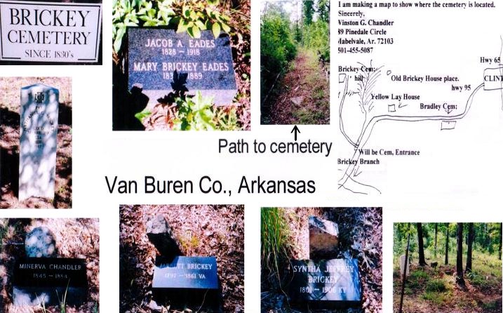 collage of brickey photos