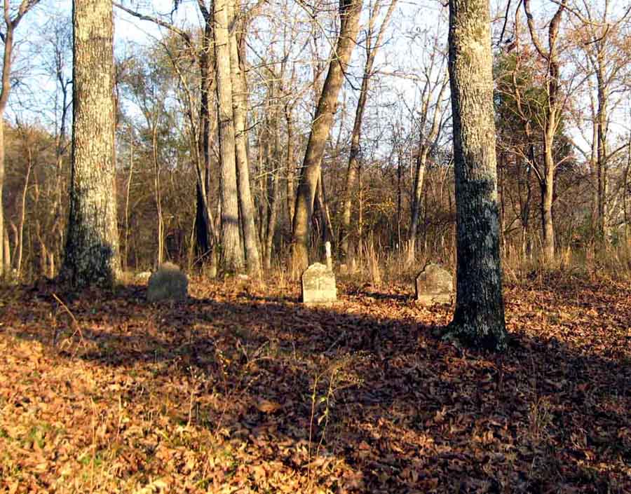 Cottrell-Wilson Cemetery view