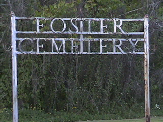 Foster Cemetery gate, Van Buren County, Arkansas