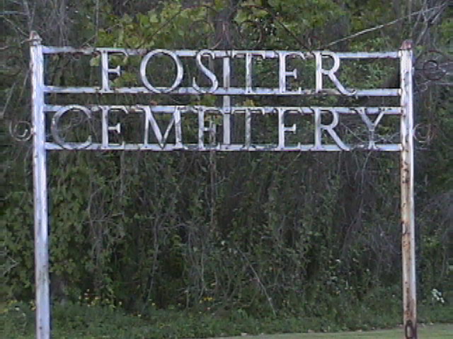Foster Cemetery gate, Van Buren County, Arkansas