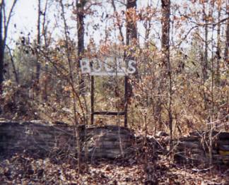 Boggs Family Cemetery Picture