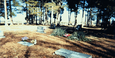 Cheek Vinity Cemetery Picture