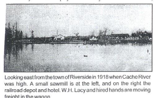 The Cache River at Riverside