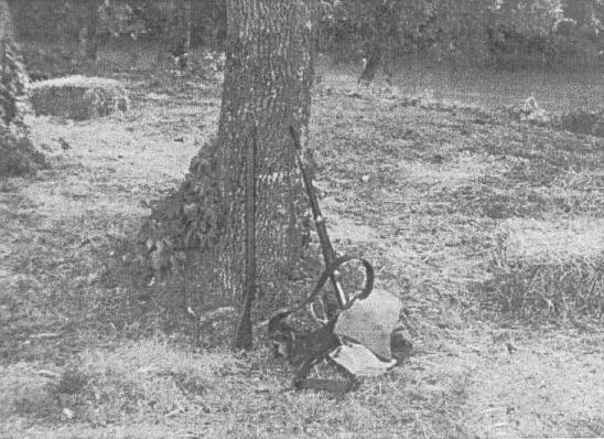 Guns leaning on tree
