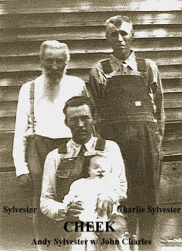 Photo of Four Generations of the Cheek Family of Marion Co AR